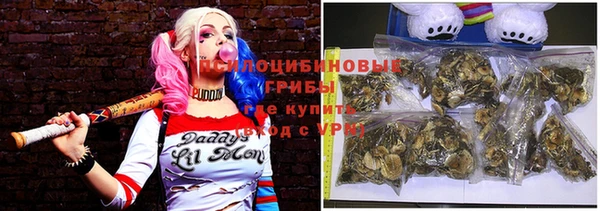 мдпв Арсеньев