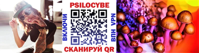 Купить где Задонск Псилоцибиновые грибы MAGIC MUSHROOMS